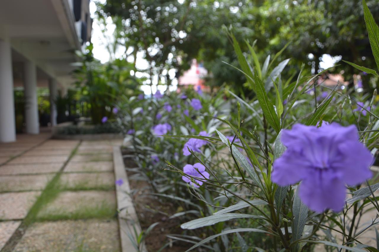 Bamboo Garden Boutique Hotel Siem Reap Exterior photo